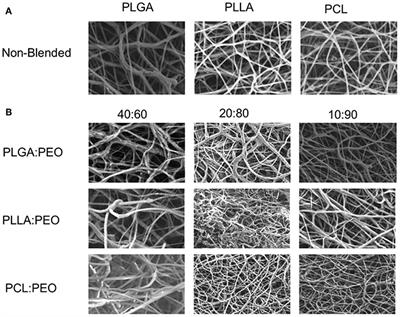 Rapid Release Polymeric Fibers for Inhibition of Porphyromonas gingivalis Adherence to Streptococcus gordonii